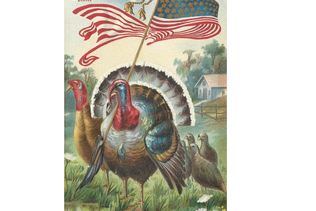 Goodman's Geese An Award winning Family Run Business Supplying Free Range Geese, Bronze Turkeys and Goose Fat homepage block image #1